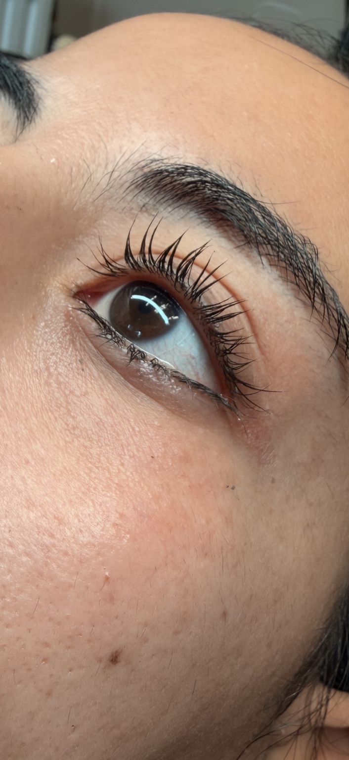 Brows by Laura work